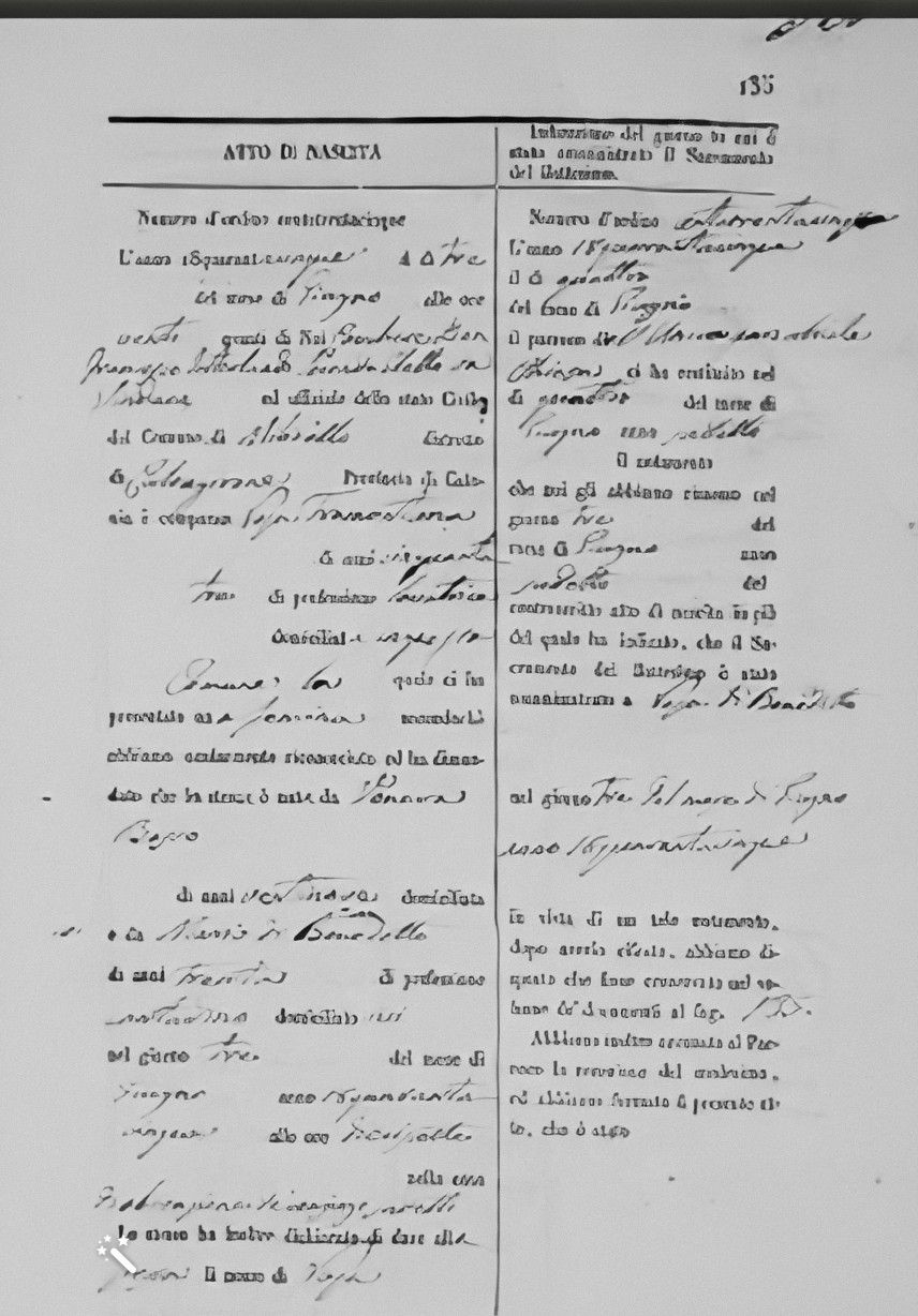 Rosa DiBenedetto Birth Record